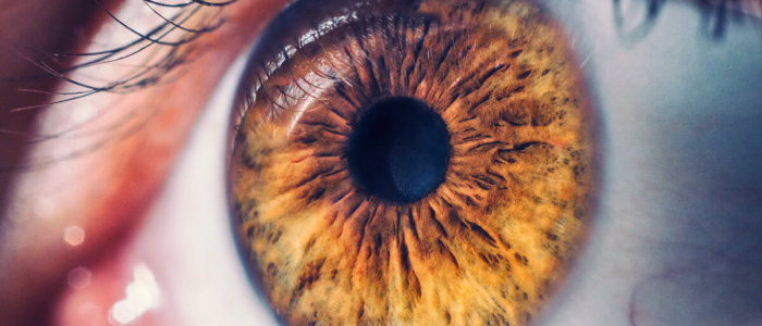 Macro pupil retina human colse eye photo